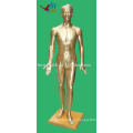 Modelo de Acupuntura Humana 178CM (Bronce)